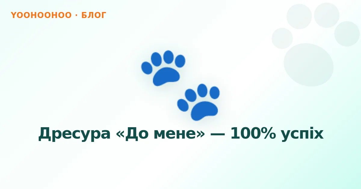 Дресура «До мене» — 100% успіх