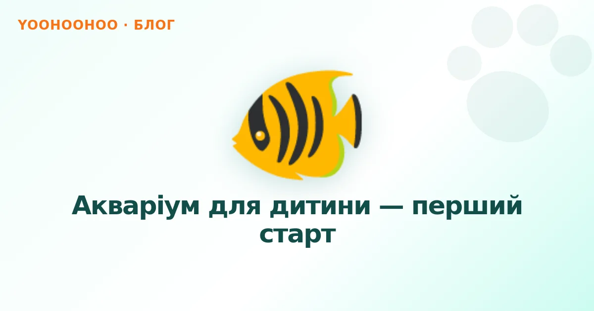 Акваріум для дитини — перший старт