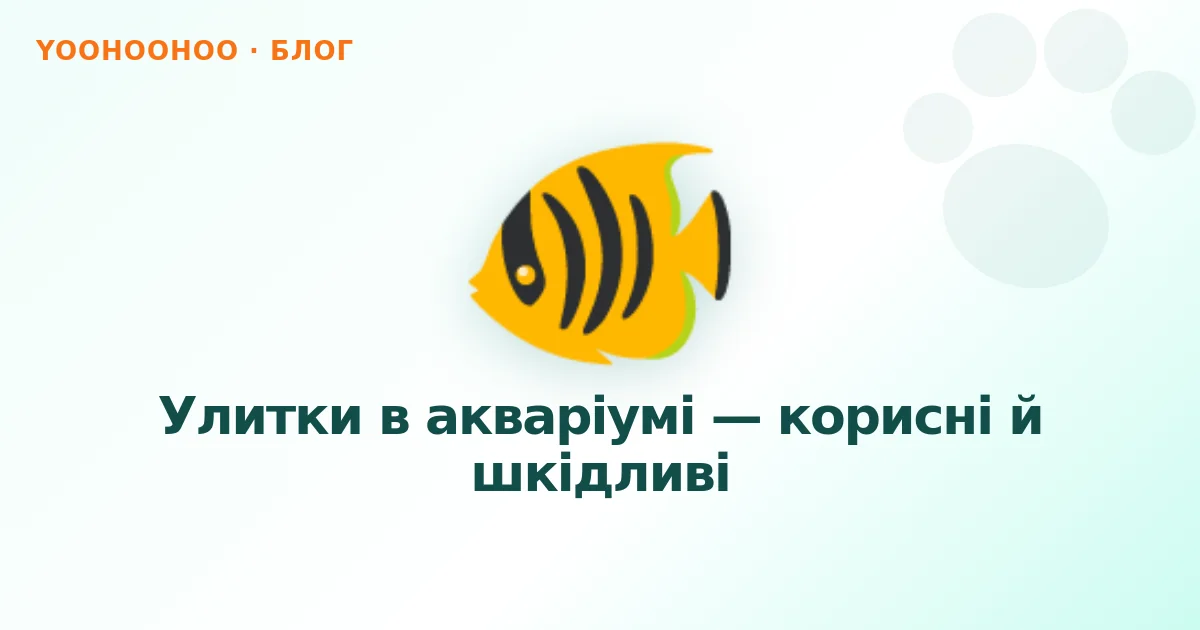 Улитки в акваріумі — корисні й шкідливі
