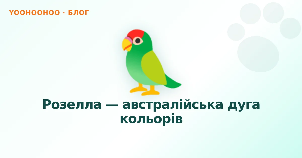 Розелла — австралійська дуга кольорів