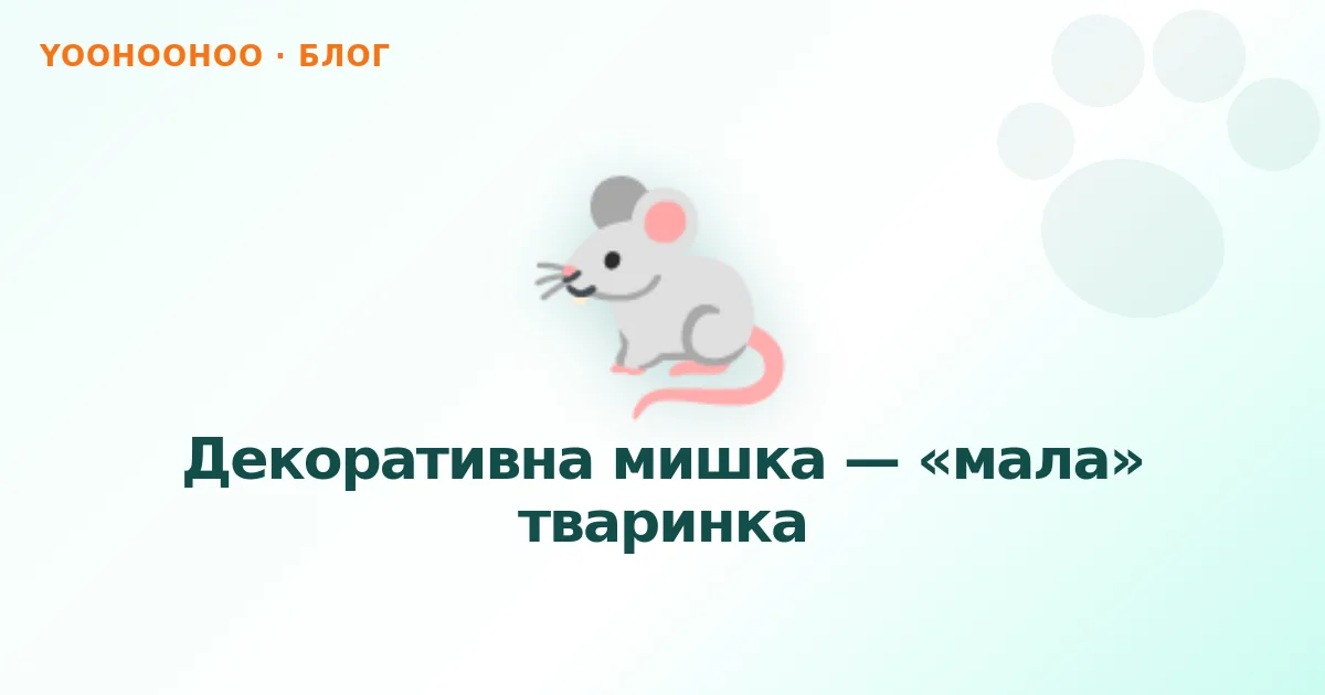 Декоративна мишка — «мала» тваринка