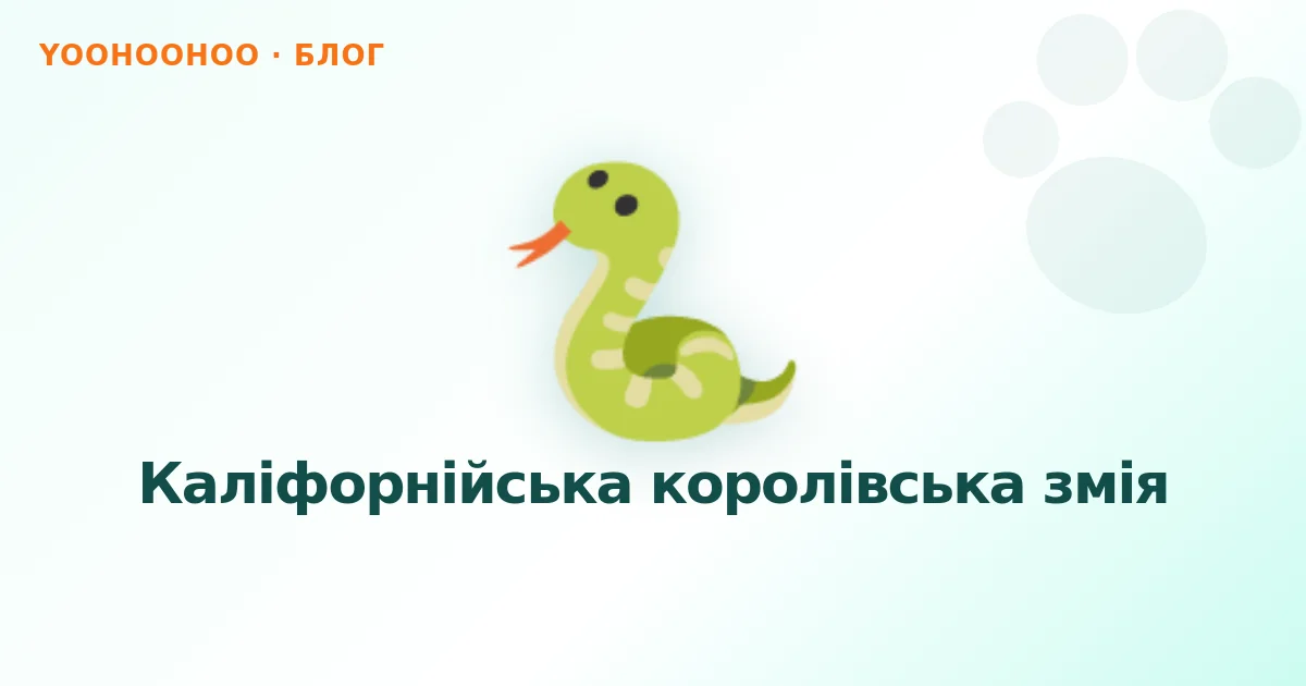 Каліфорнійська королівська змія