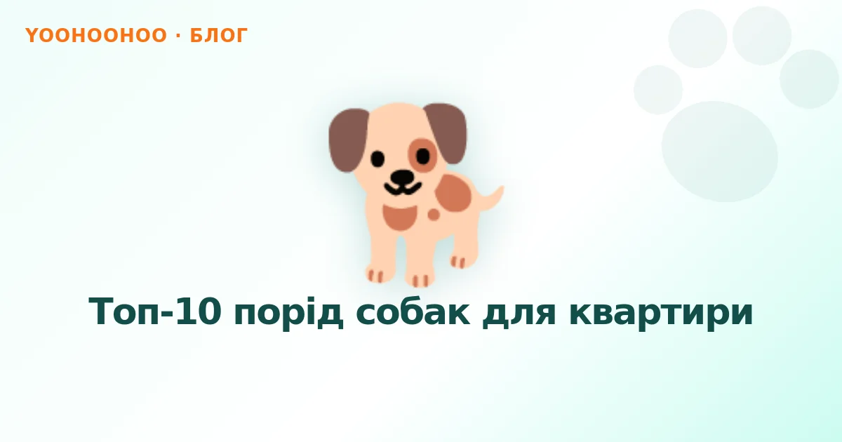 Топ-10 порід собак для квартири