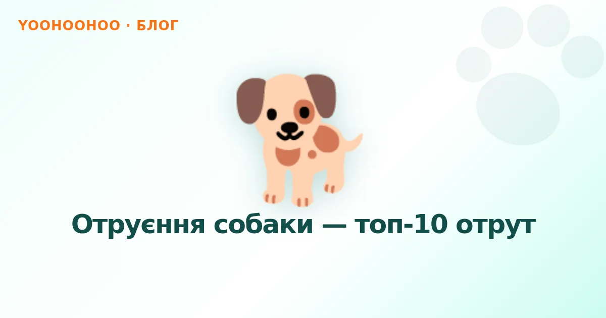 Отруєння собаки — топ-10 отрут