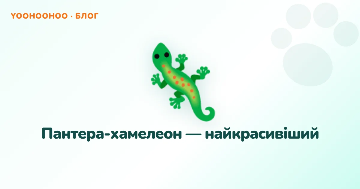 Пантера-хамелеон — найкрасивіший