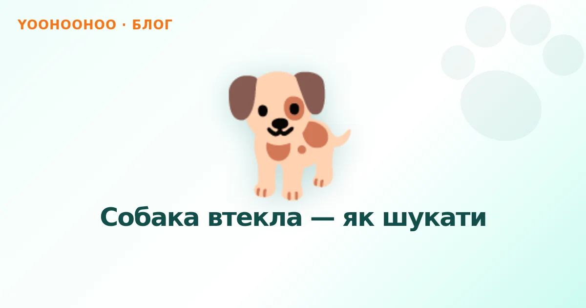 Собака втекла — як шукати