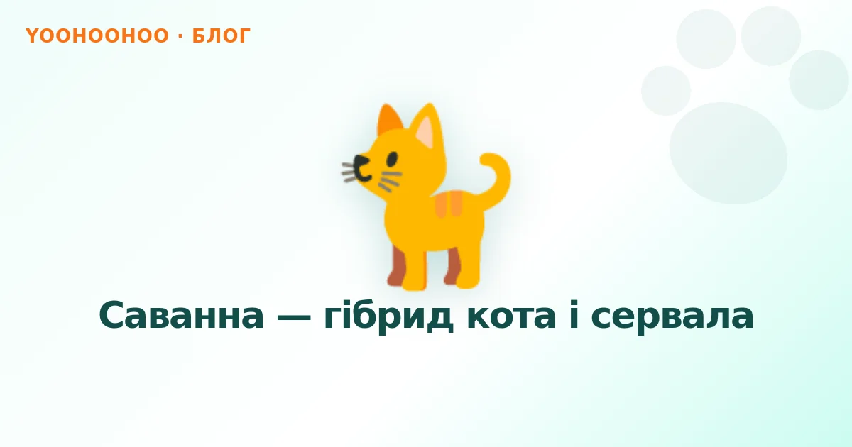 Саванна — гібрид кота і сервала