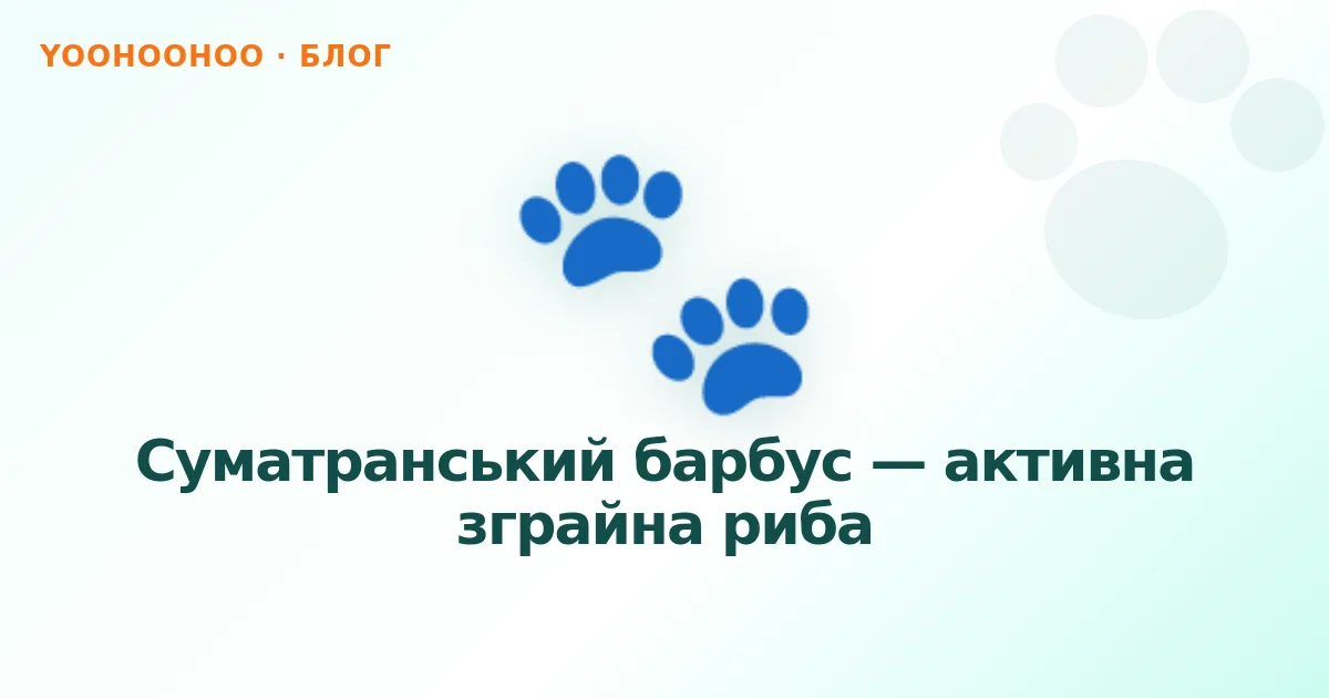Суматранський барбус — активна зграйна риба