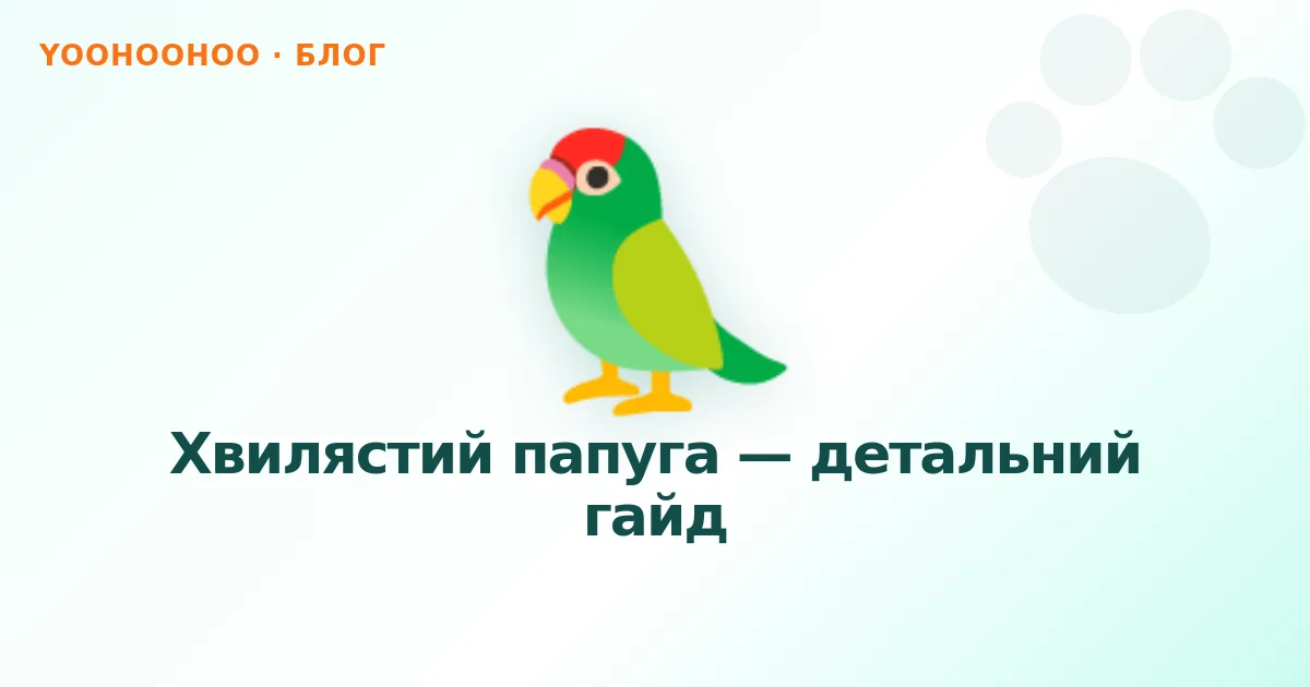 Хвилястий папуга — детальний гайд