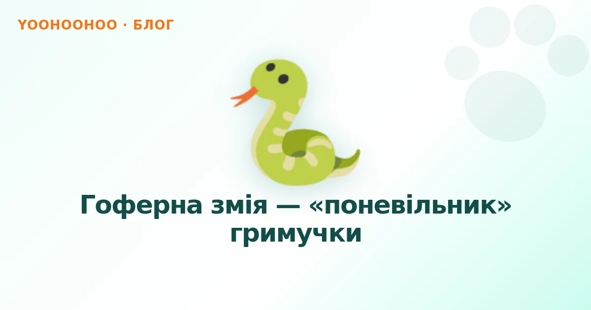 Гоферна змія — «поневільник» гримучки