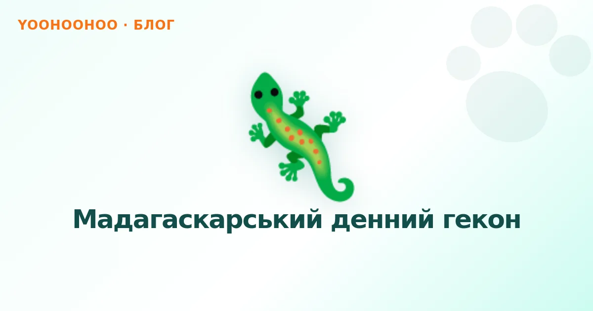 Мадагаскарський денний гекон