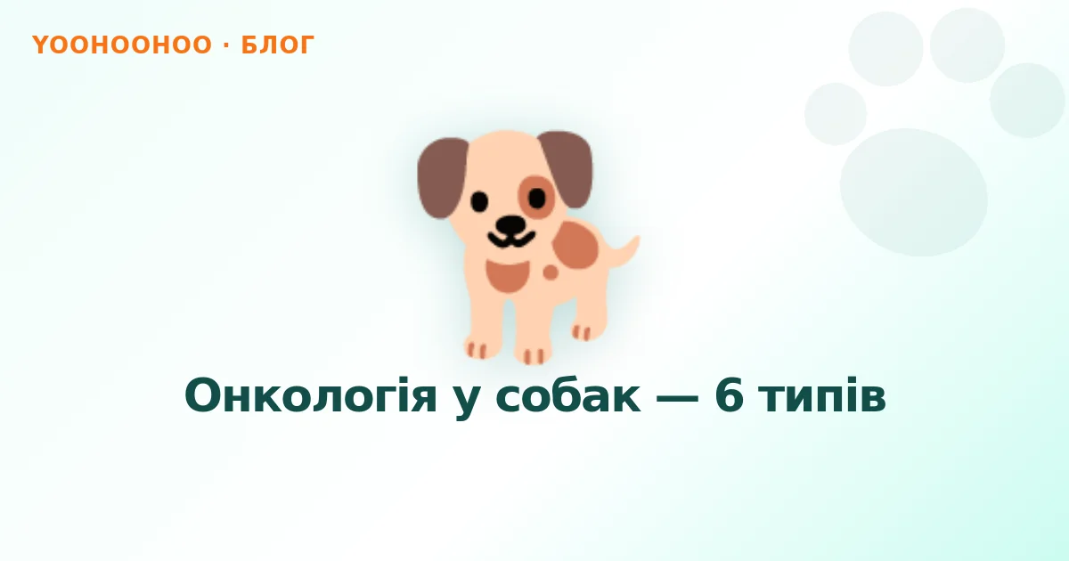 Онкологія у собак — 6 типів