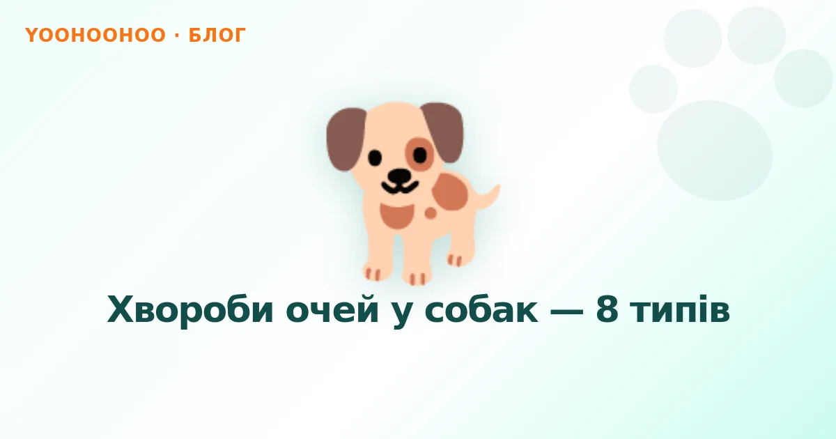 Хвороби очей у собак — 8 типів