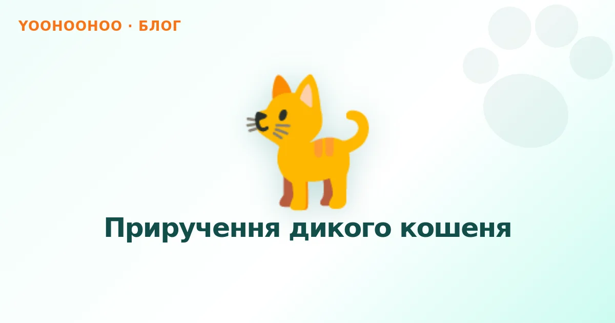 Приручення дикого кошеня
