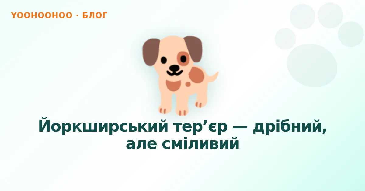 Йоркширський тер’єр — дрібний, але сміливий