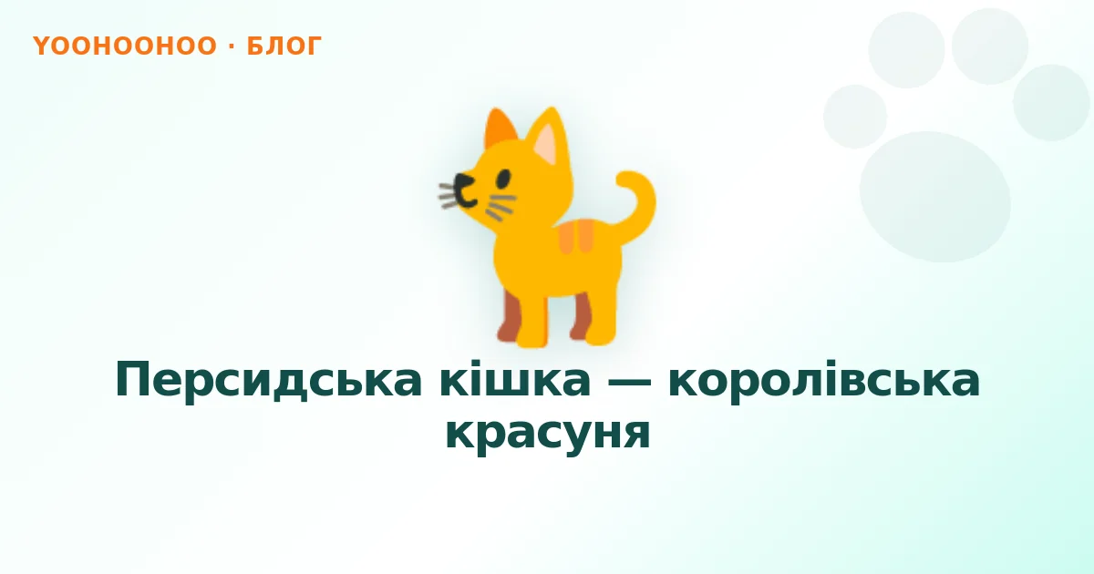 Персидська кішка — королівська красуня