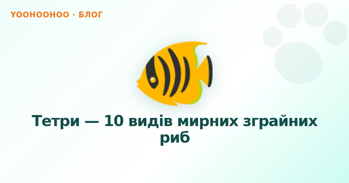 Тетри — 10 видів мирних зграйних риб