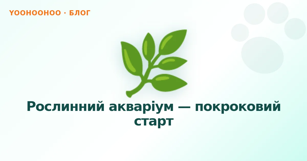Рослинний акваріум — покроковий старт
