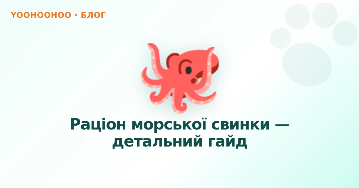 Раціон морської свинки — детальний гайд