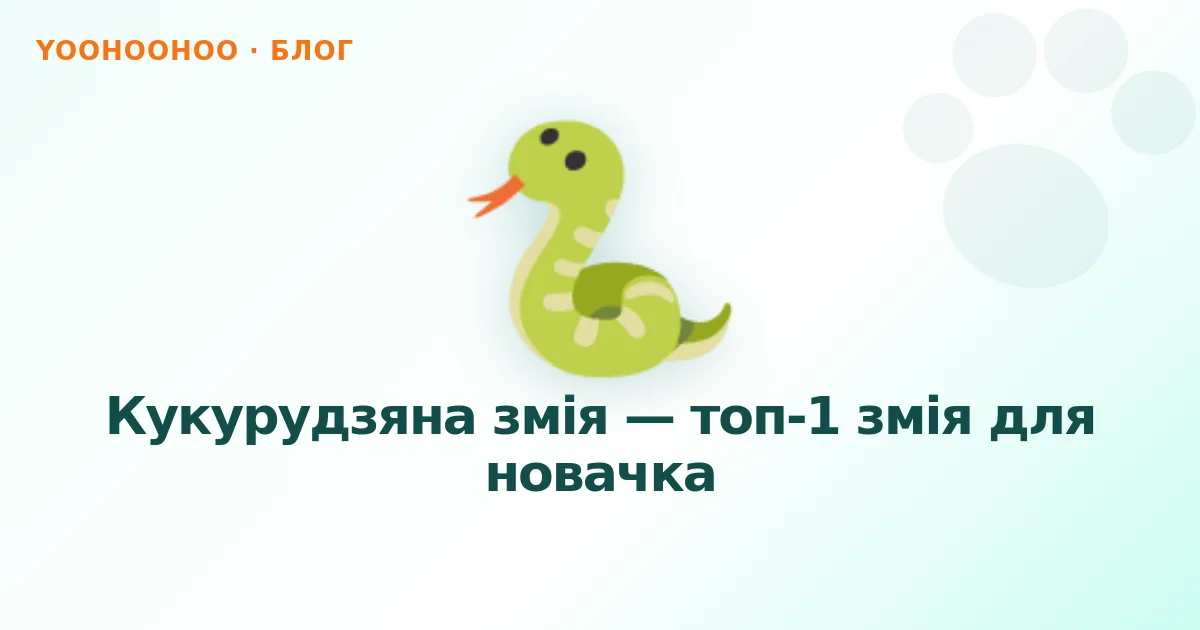Кукурудзяна змія — топ-1 змія для новачка