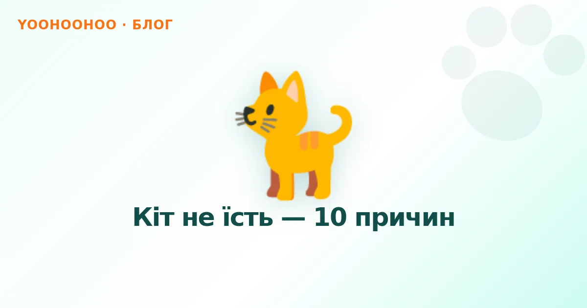 Кіт не їсть — 10 причин