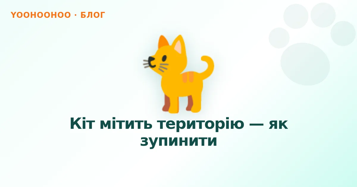 Кіт мітить територію — як зупинити