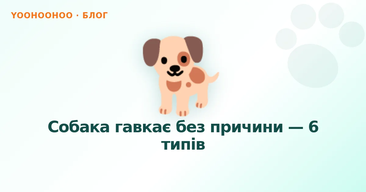 Собака гавкає без причини — 6 типів