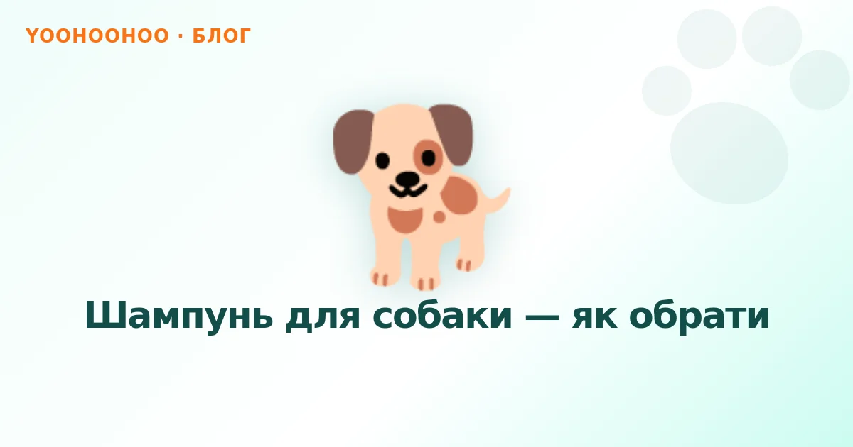 Шампунь для собаки — як обрати