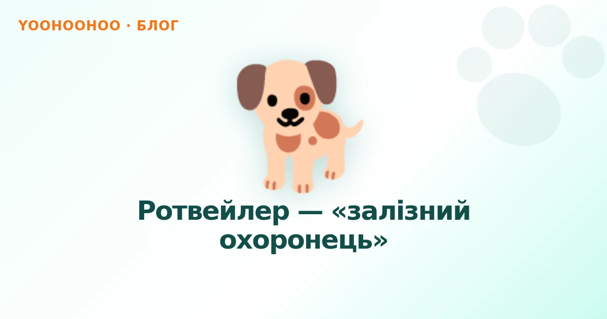 Ротвейлер — «залізний охоронець»