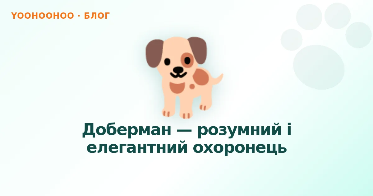 Доберман — розумний і елегантний охоронець