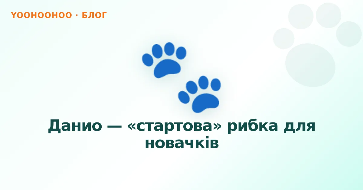 Данио — «стартова» рибка для новачків