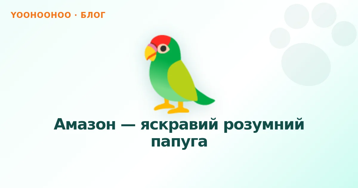 Амазон — яскравий розумний папуга