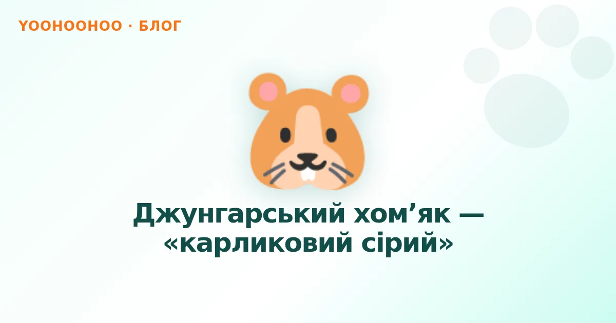 Джунгарський хом’як — «карликовий сірий»