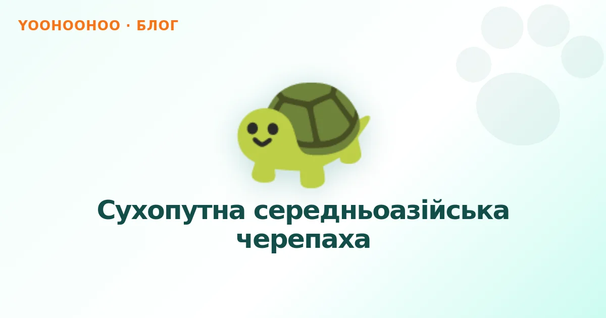 Сухопутна середньоазійська черепаха