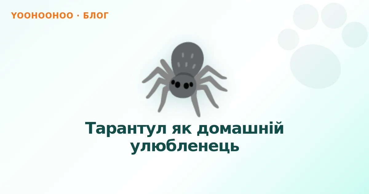 Тарантул як домашній улюбленець