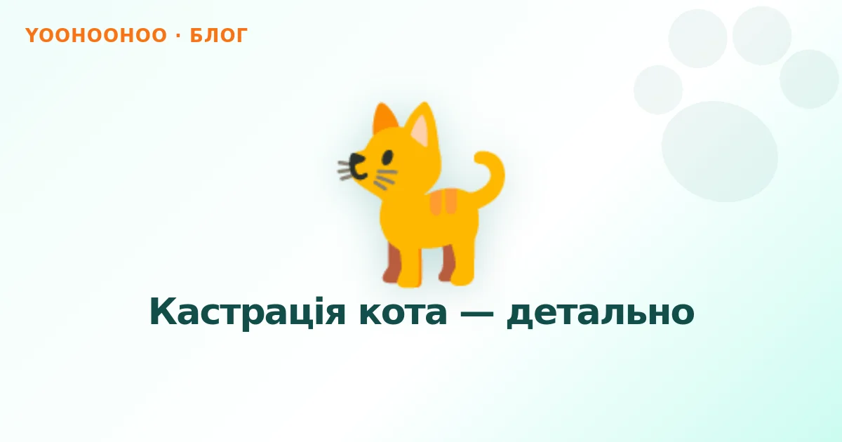 Кастрація кота — детально