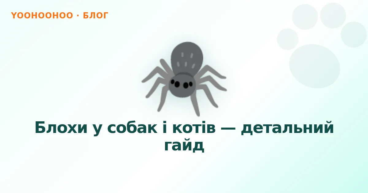 Блохи у собак і котів — детальний гайд
