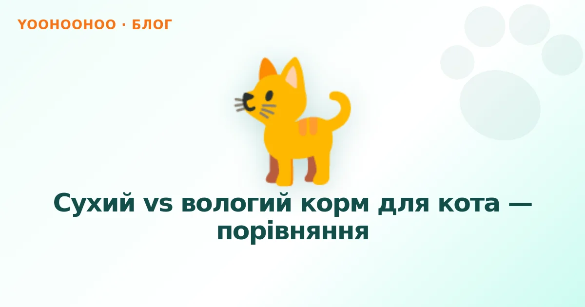 Сухий vs вологий корм для кота — порівняння