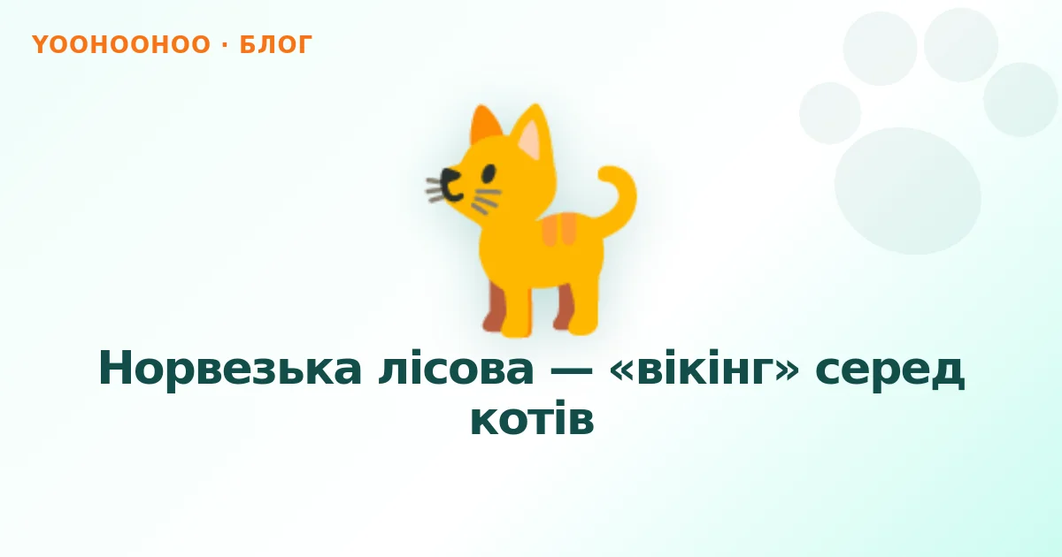 Норвезька лісова — «вікінг» серед котів