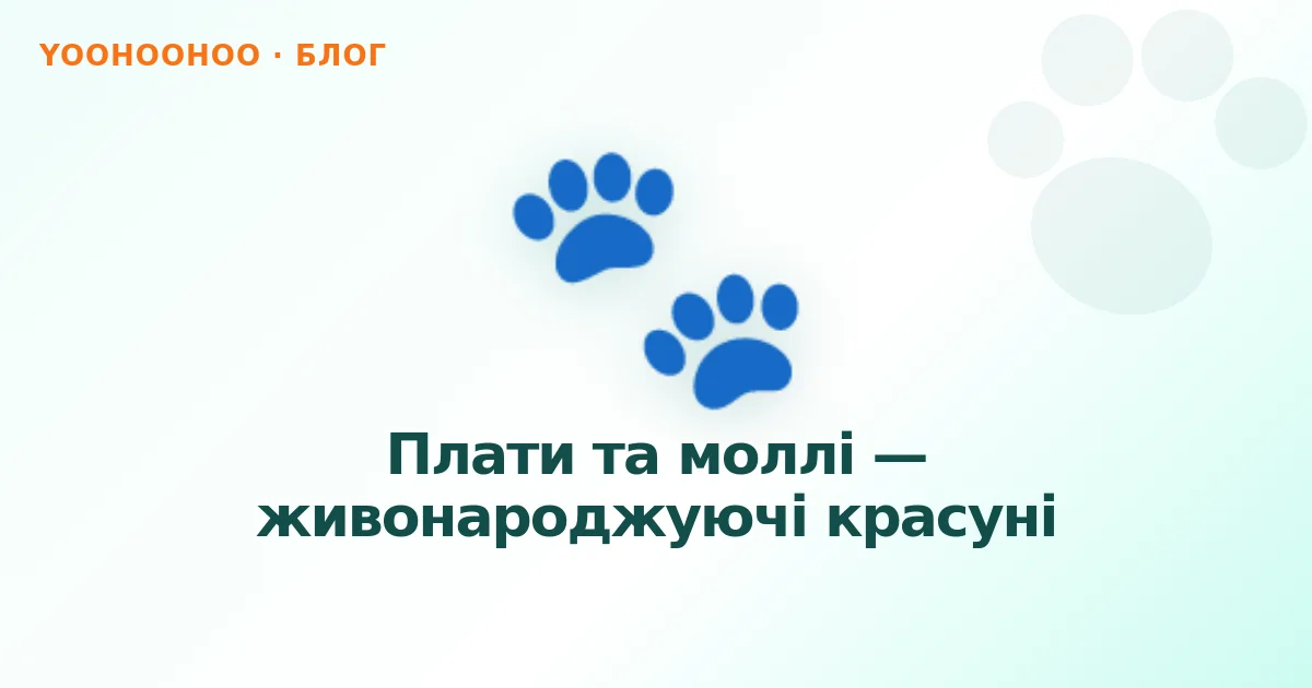 Плати та моллі — живонароджуючі красуні