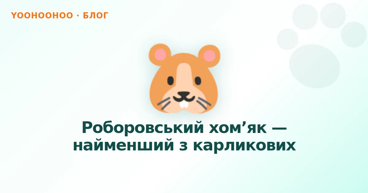 Роборовський хом’як — найменший з карликових
