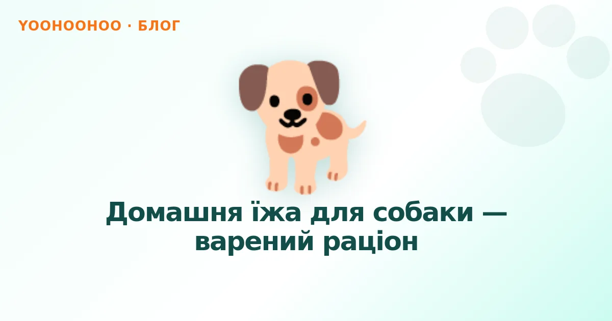 Домашня їжа для собаки — варений раціон