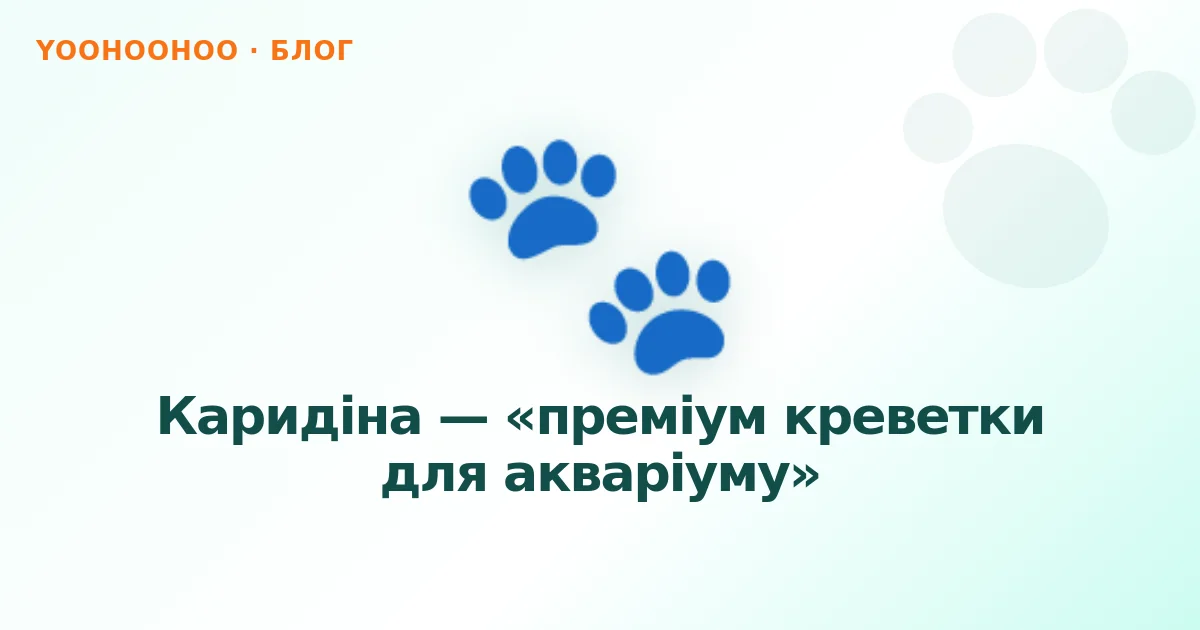 Каридіна — «преміум креветки для акваріуму»