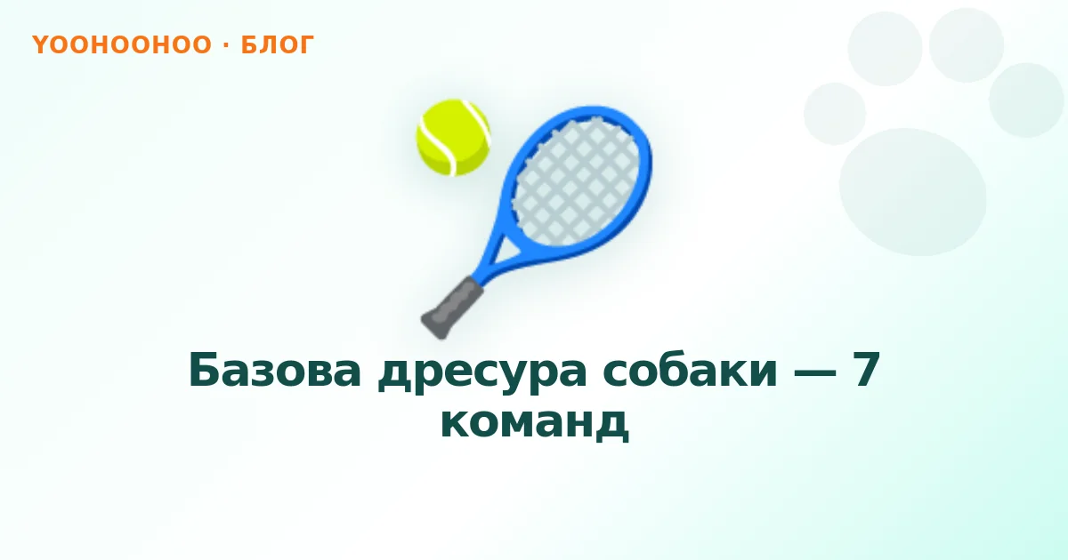Базова дресура собаки — 7 команд