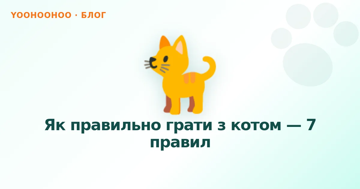 Як правильно грати з котом — 7 правил
