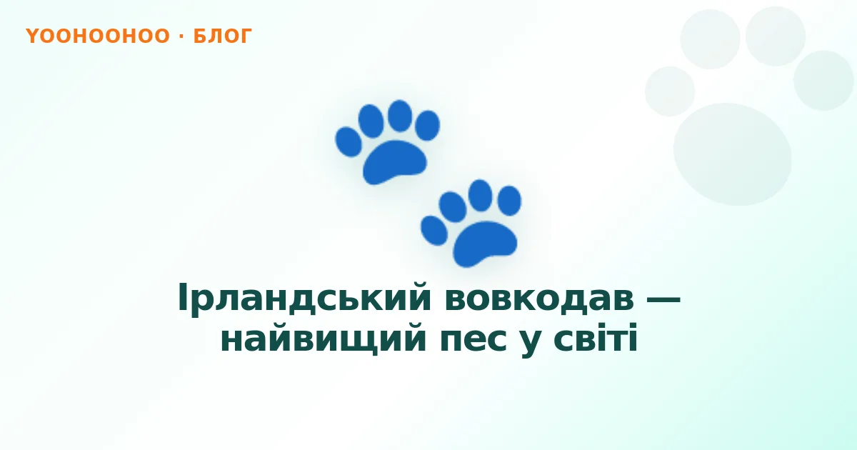 Ірландський вовкодав — найвищий пес у світі
