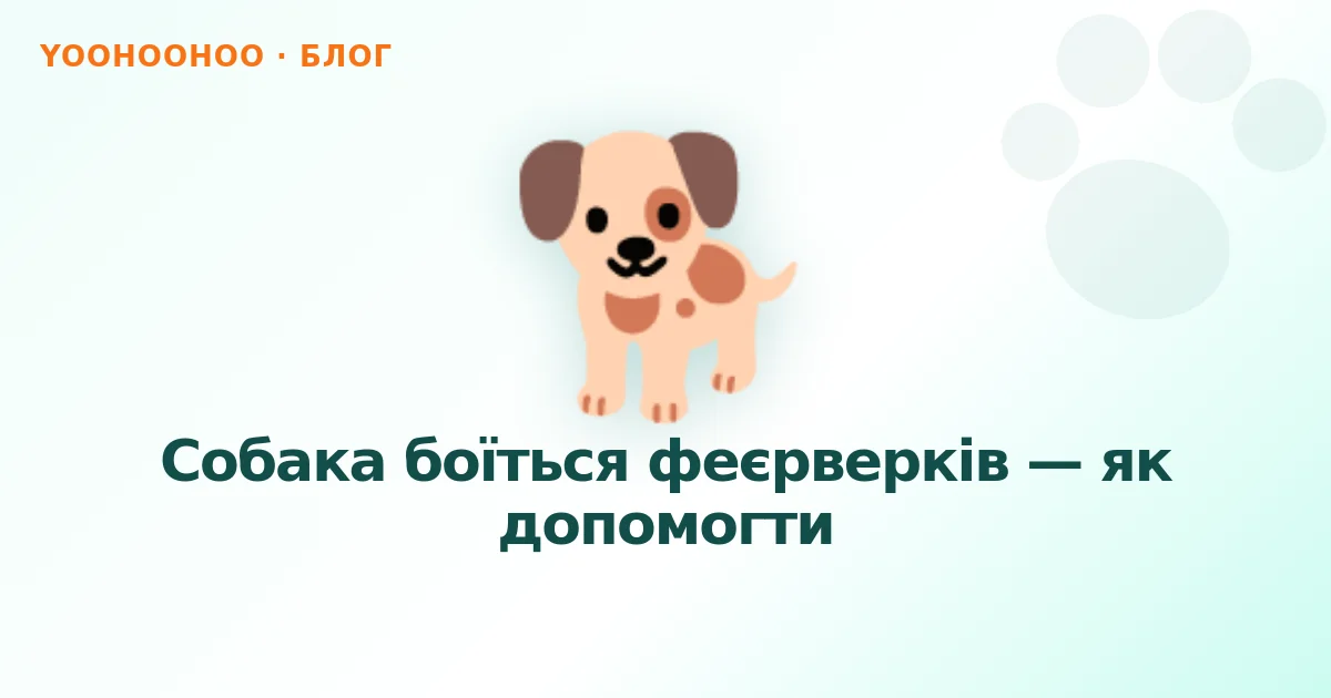Собака боїться феєрверків — як допомогти