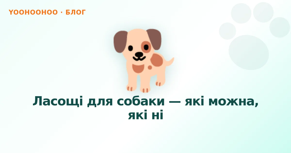Ласощі для собаки — які можна, які ні