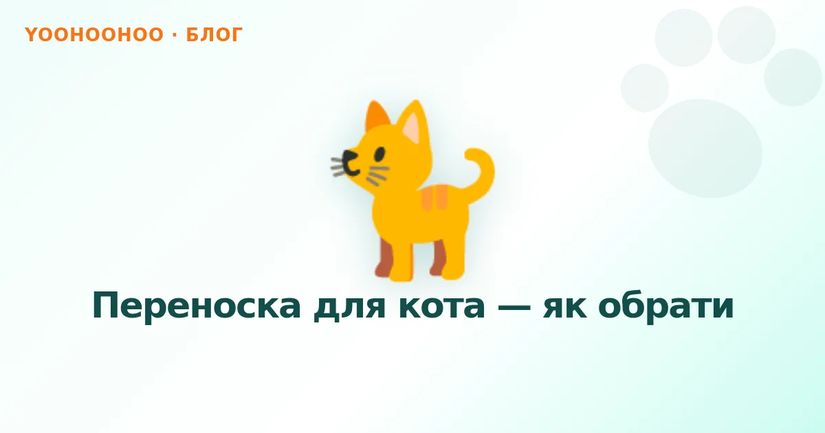 Переноска для кота — як обрати