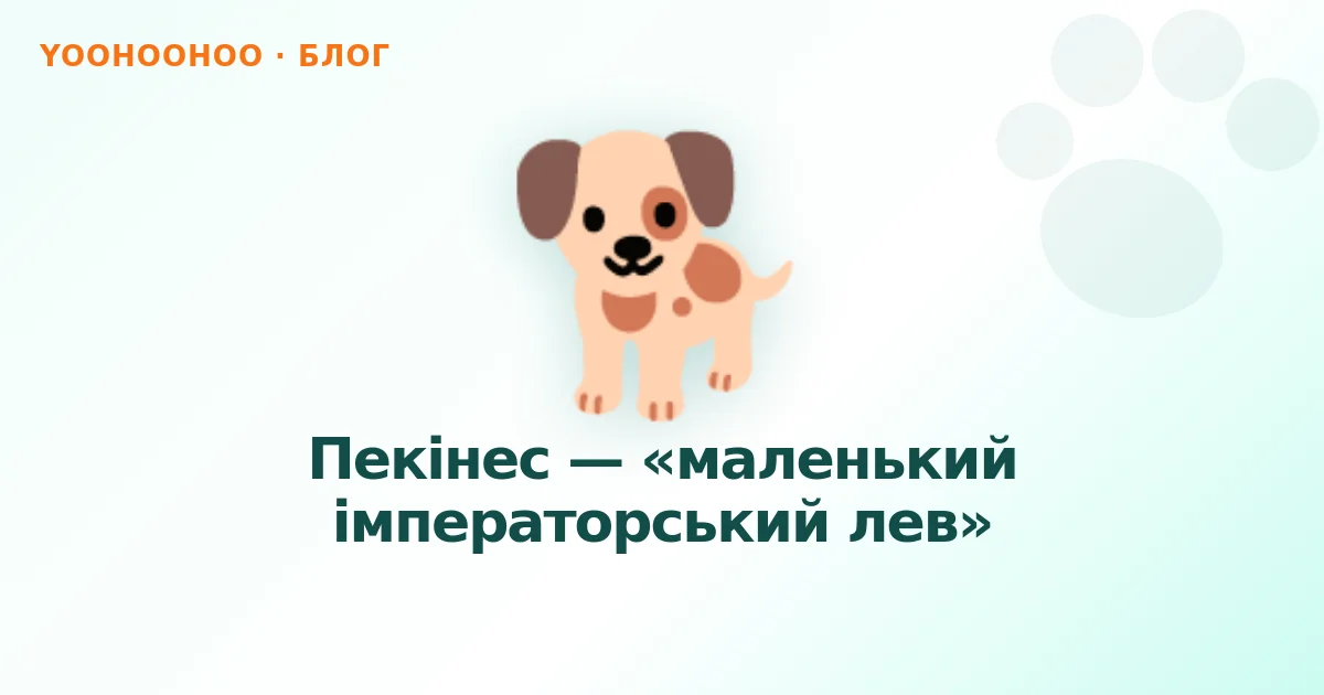 Пекінес — «маленький імператорський лев»